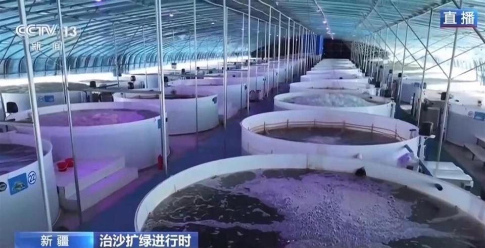 中连珍珠水产